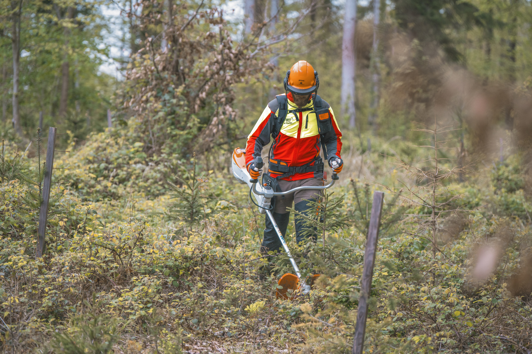 Markus Küchler trimmt mit dem Akku-Freischneider STIHL FSA 400 wild wucherndes Gestrüpp am Boden