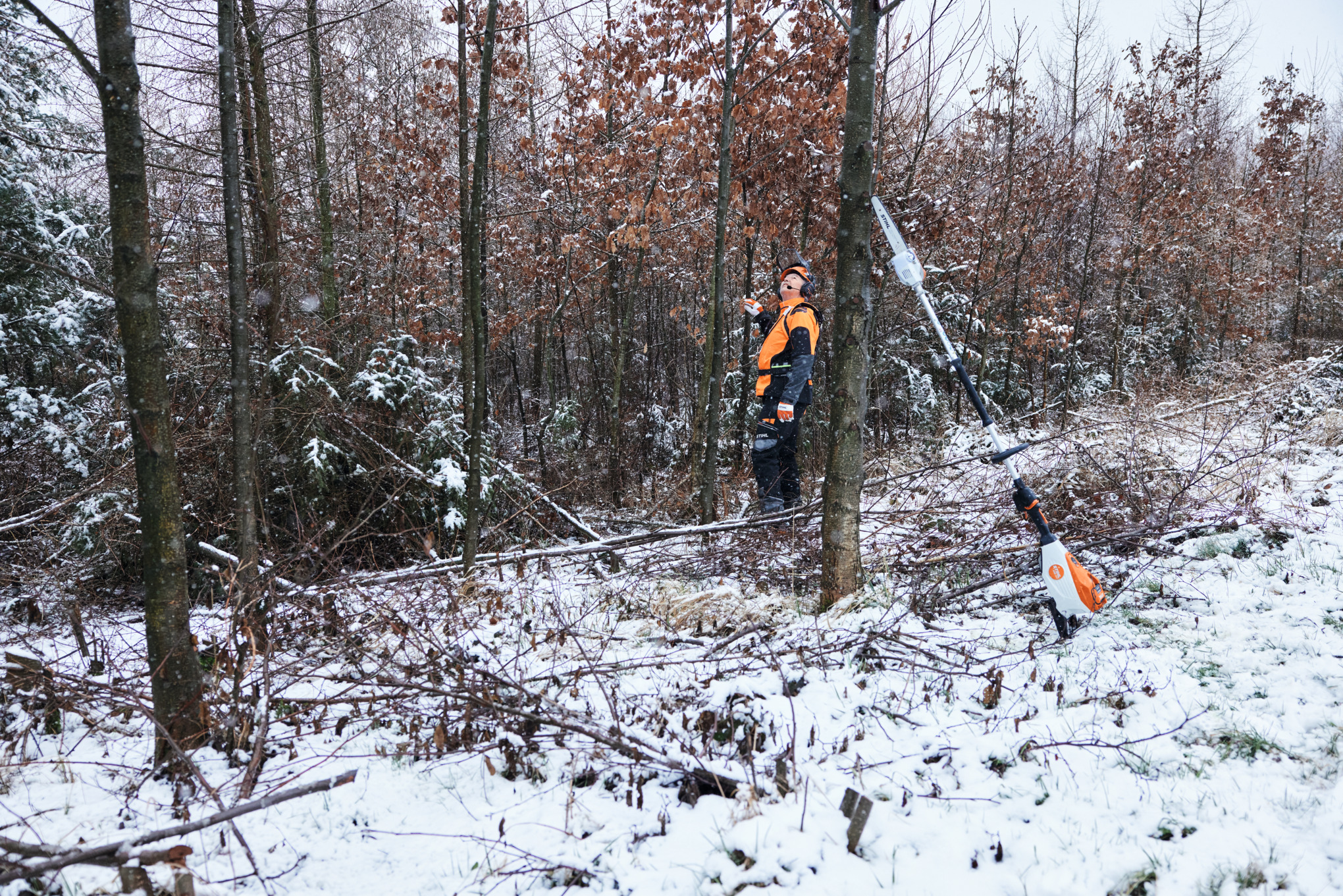 Ein Mann arbeitet in Arbeitsschutzausrüstung in einem verschneiten Wald, im Vordergrund lehnt ein Akku-Hochentaster STIHL HTA 150 an einem Baumstamm