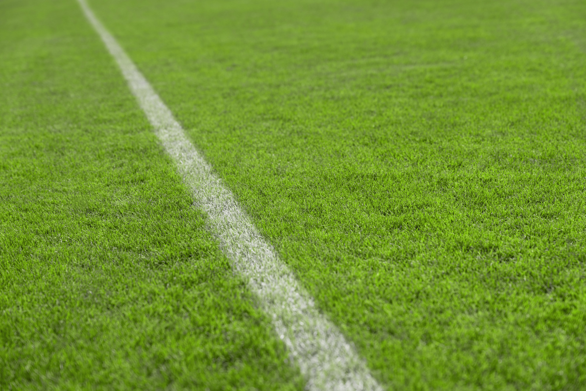 Kurz gemähter, gleichmäßiger Sportrasen