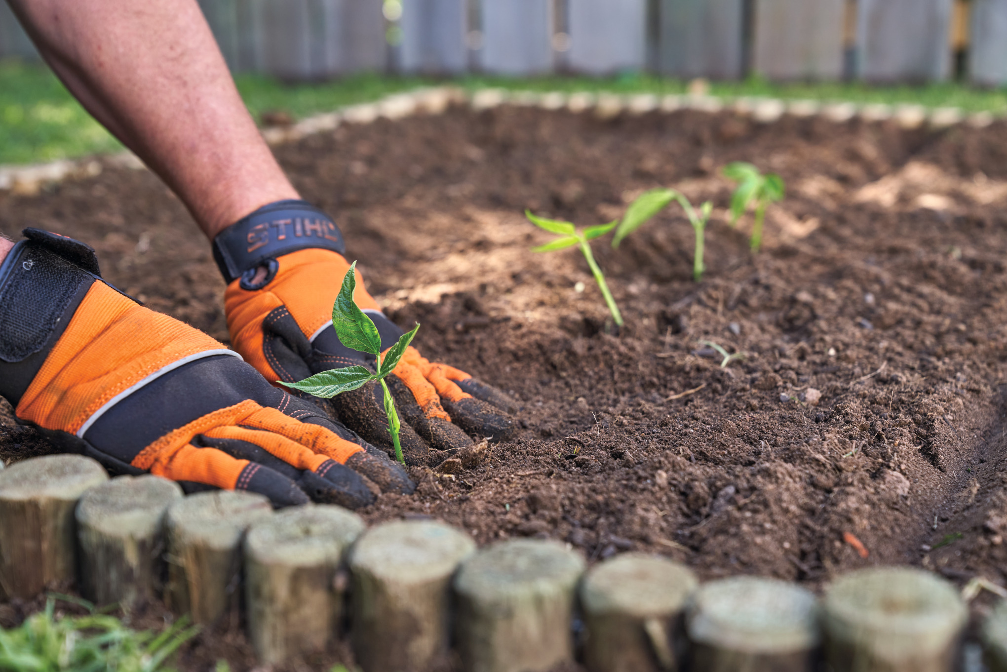 Person mit Schutzhandschuhen bepflanzt ein Beet