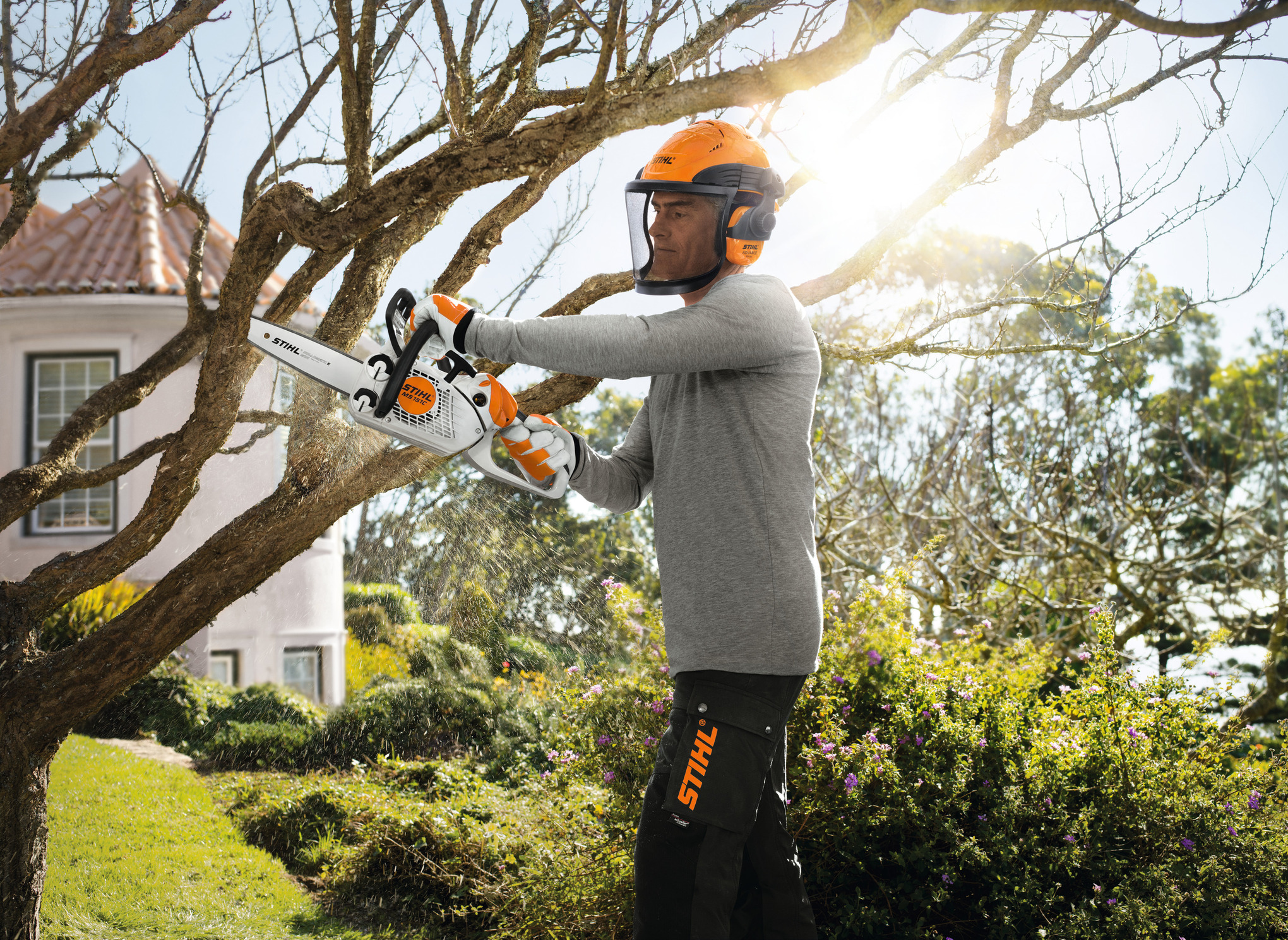 STIHL MS 151TC KETTENSÄGE