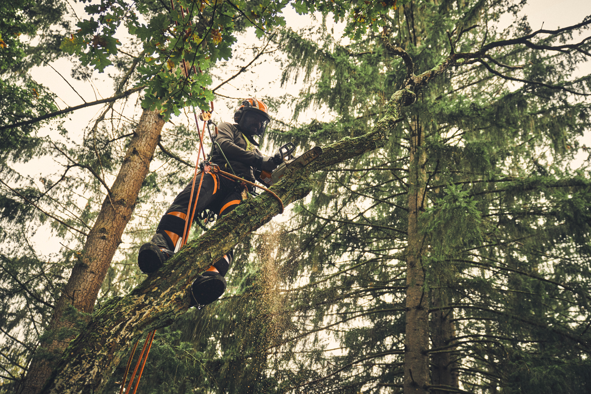 MSA 220 TC-O ohne Akku und Ladegerät