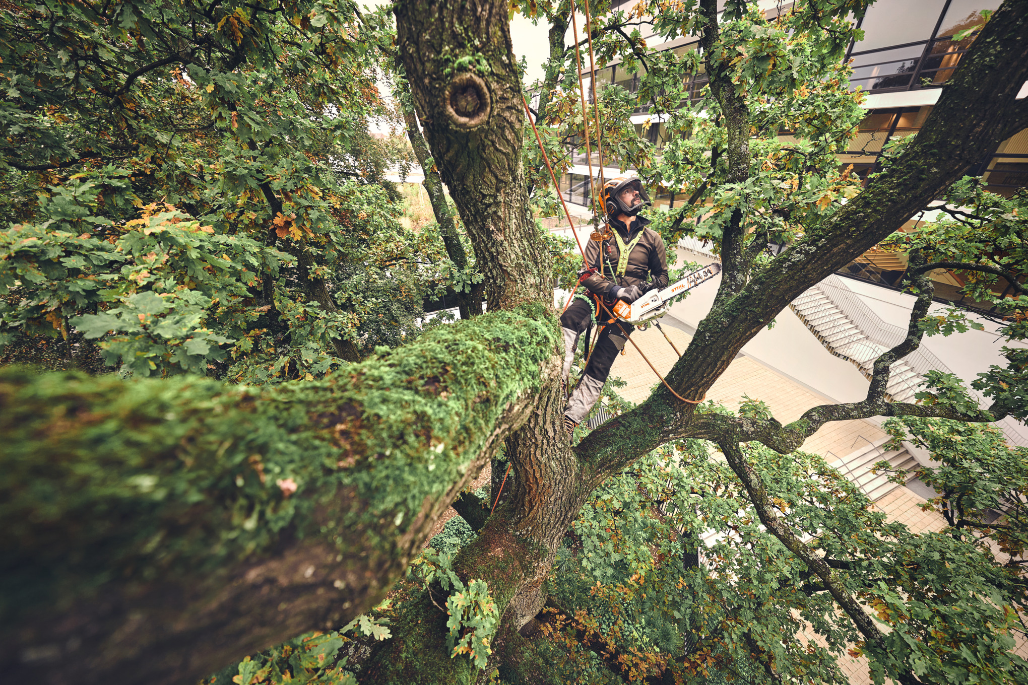 MSA 220 TC-O ohne Akku und Ladegerät