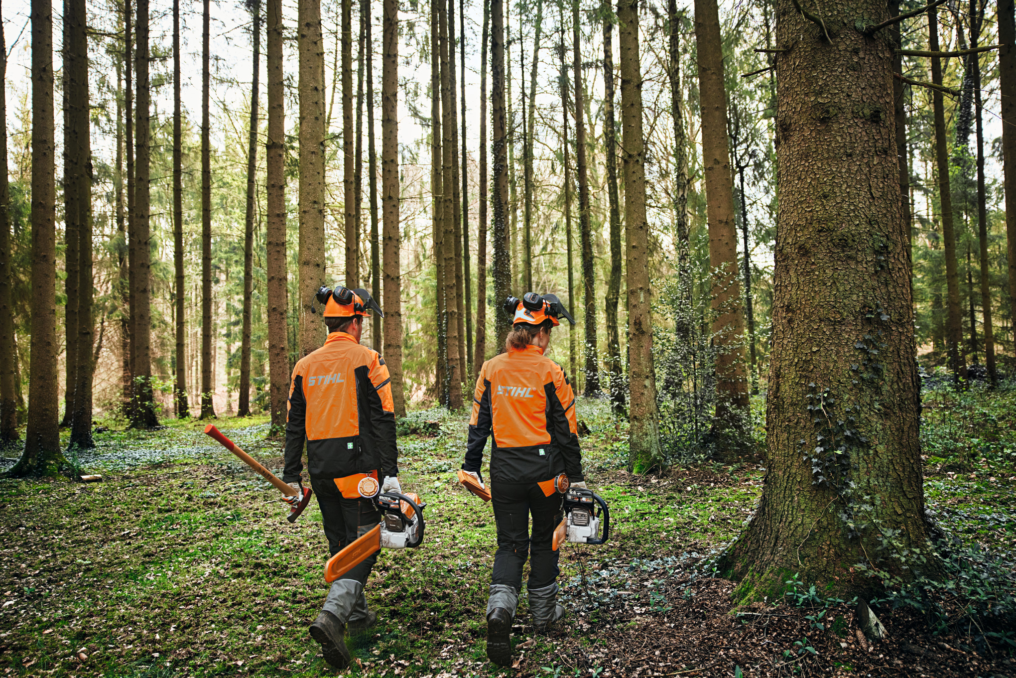 Zwei Personen im Wald in Schutzausrüstung mit Motorsägen und Axt.