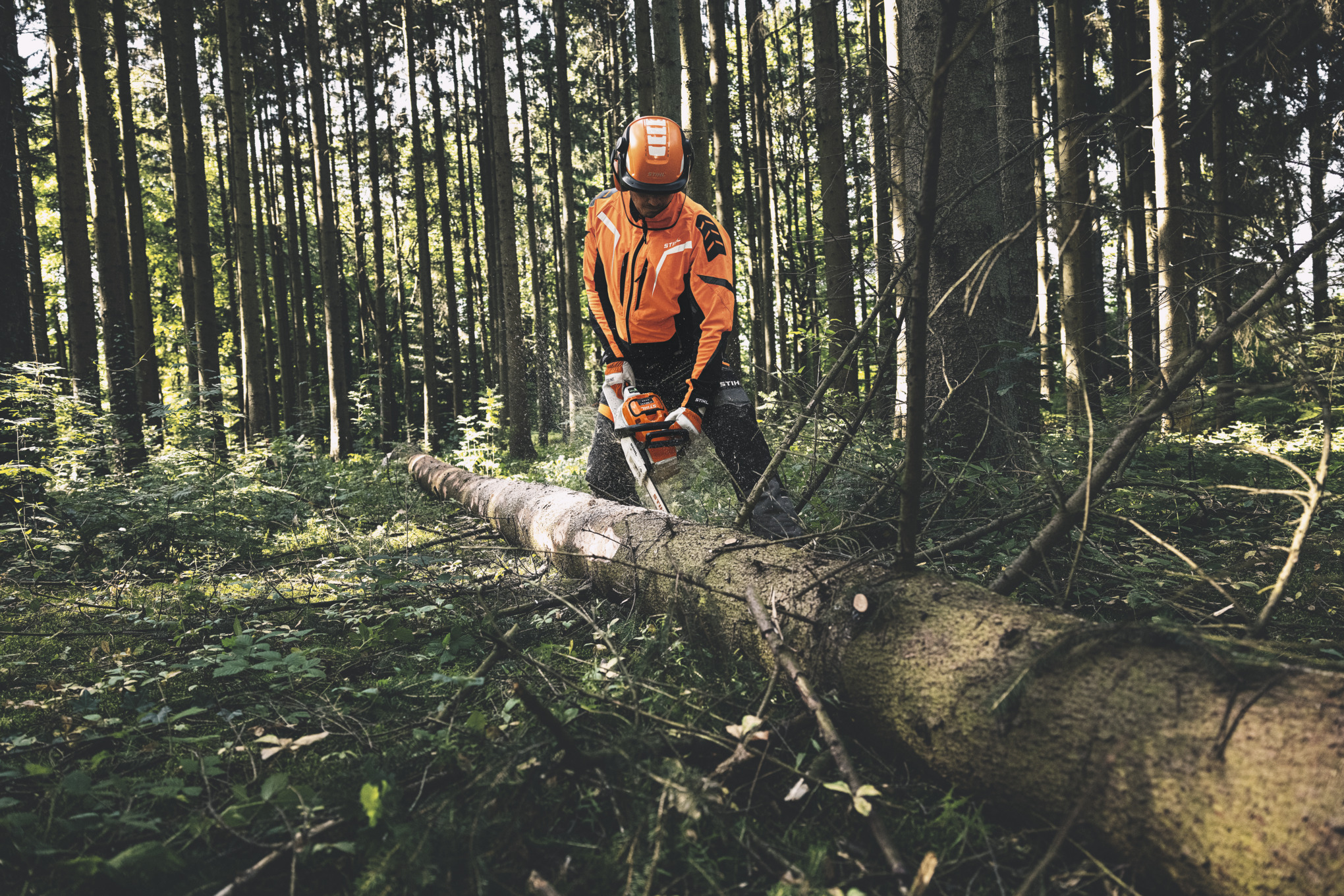 Eine Person in STIHL Arbeitsschutzausrüstung sägt im Wald einen Baumstamm