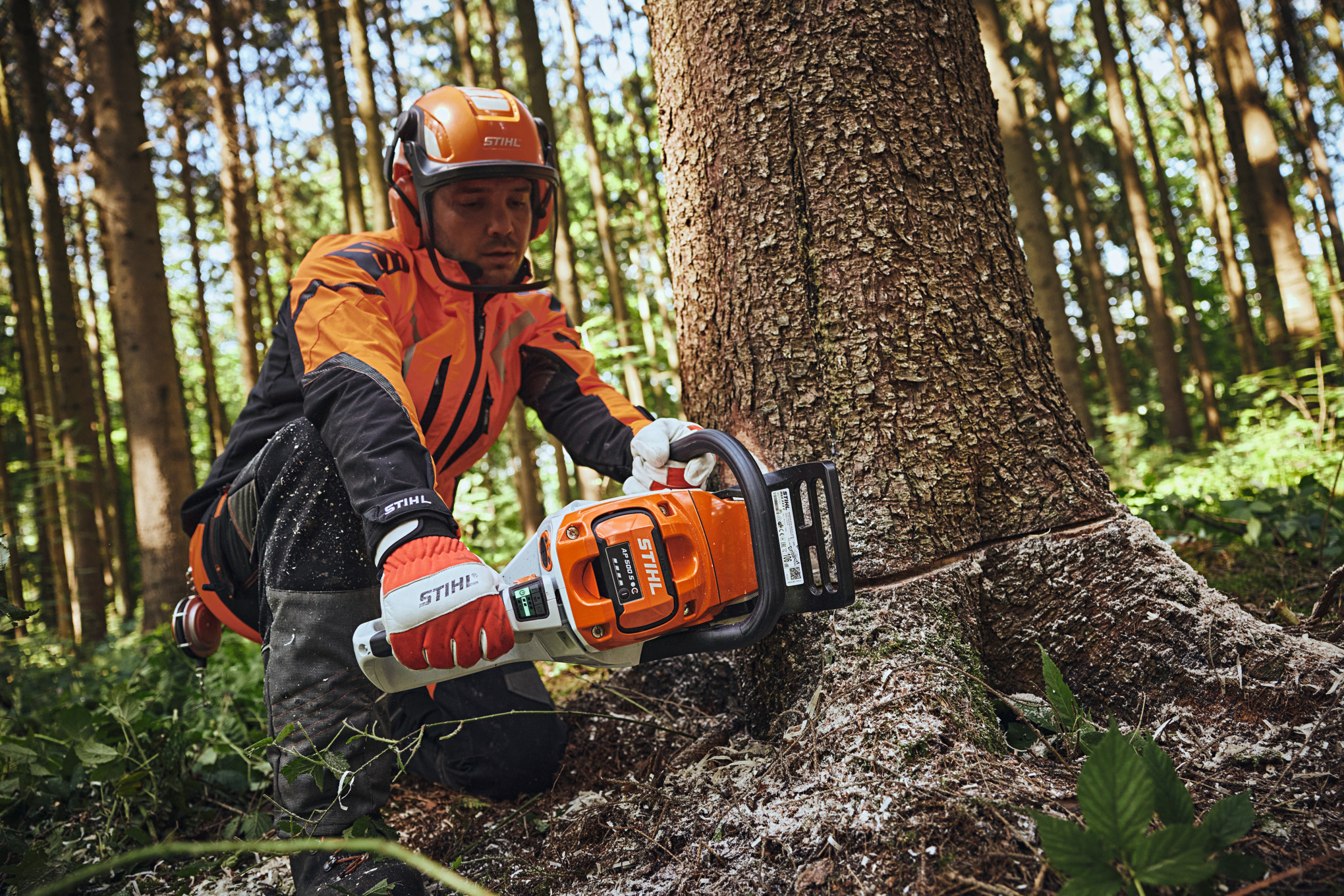 Ein Mann in STIHL Schutzausrüstung zersägt einen Baumstamm