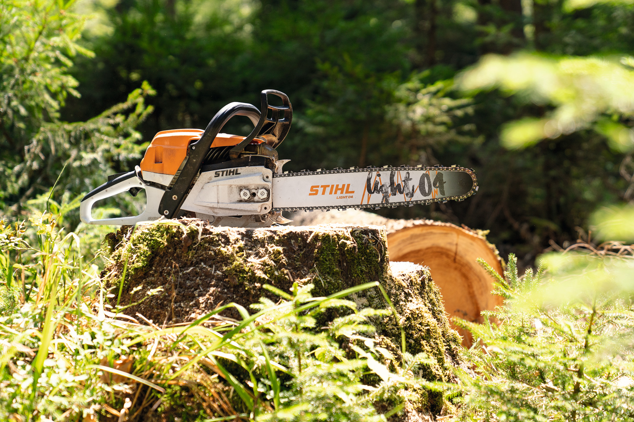 STIHL Benzin-Kettensäge MS 261 C-M auf einem Baumstumpf im Wald