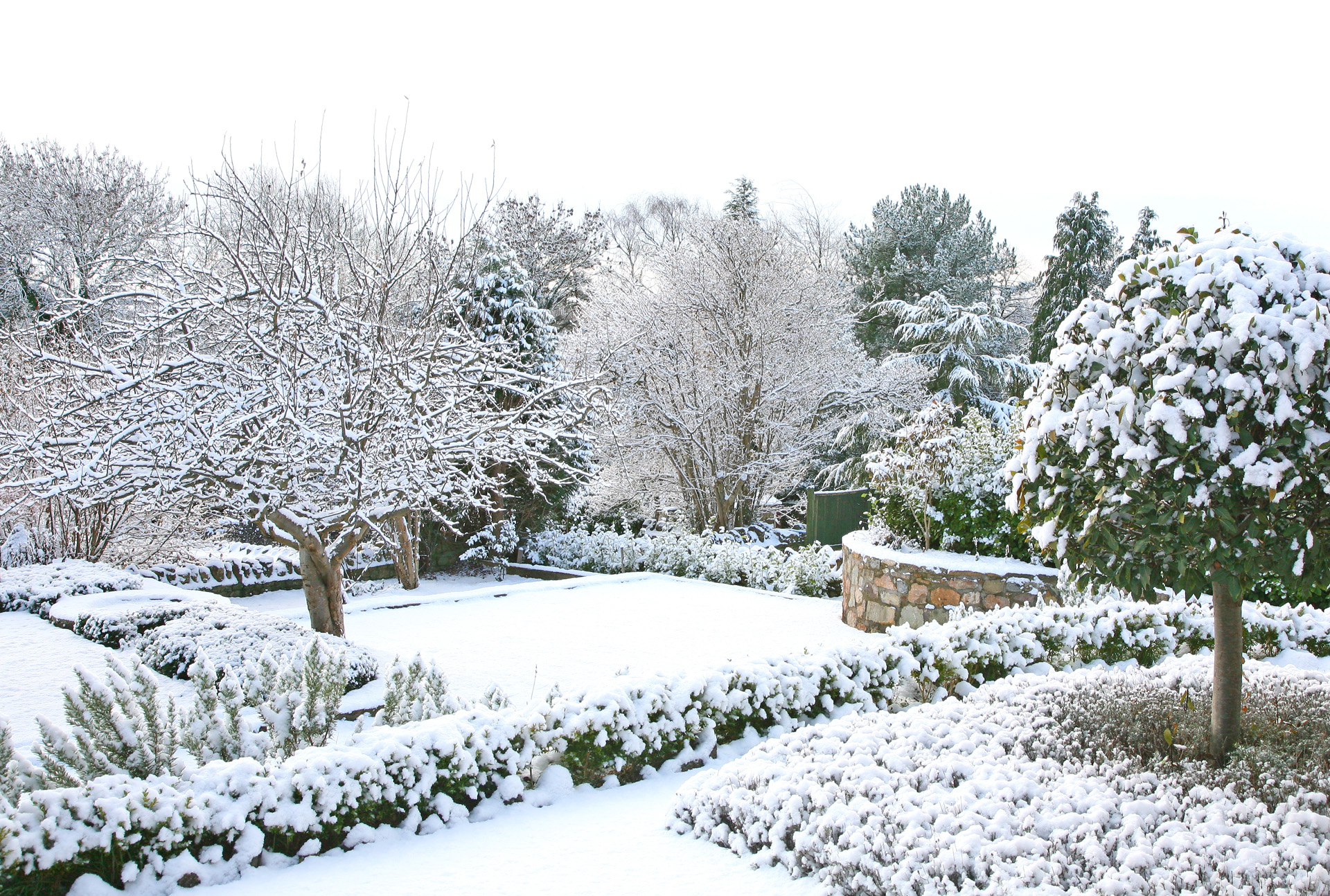 Garten im Winter mit verschneiten Bäumen und Hecken