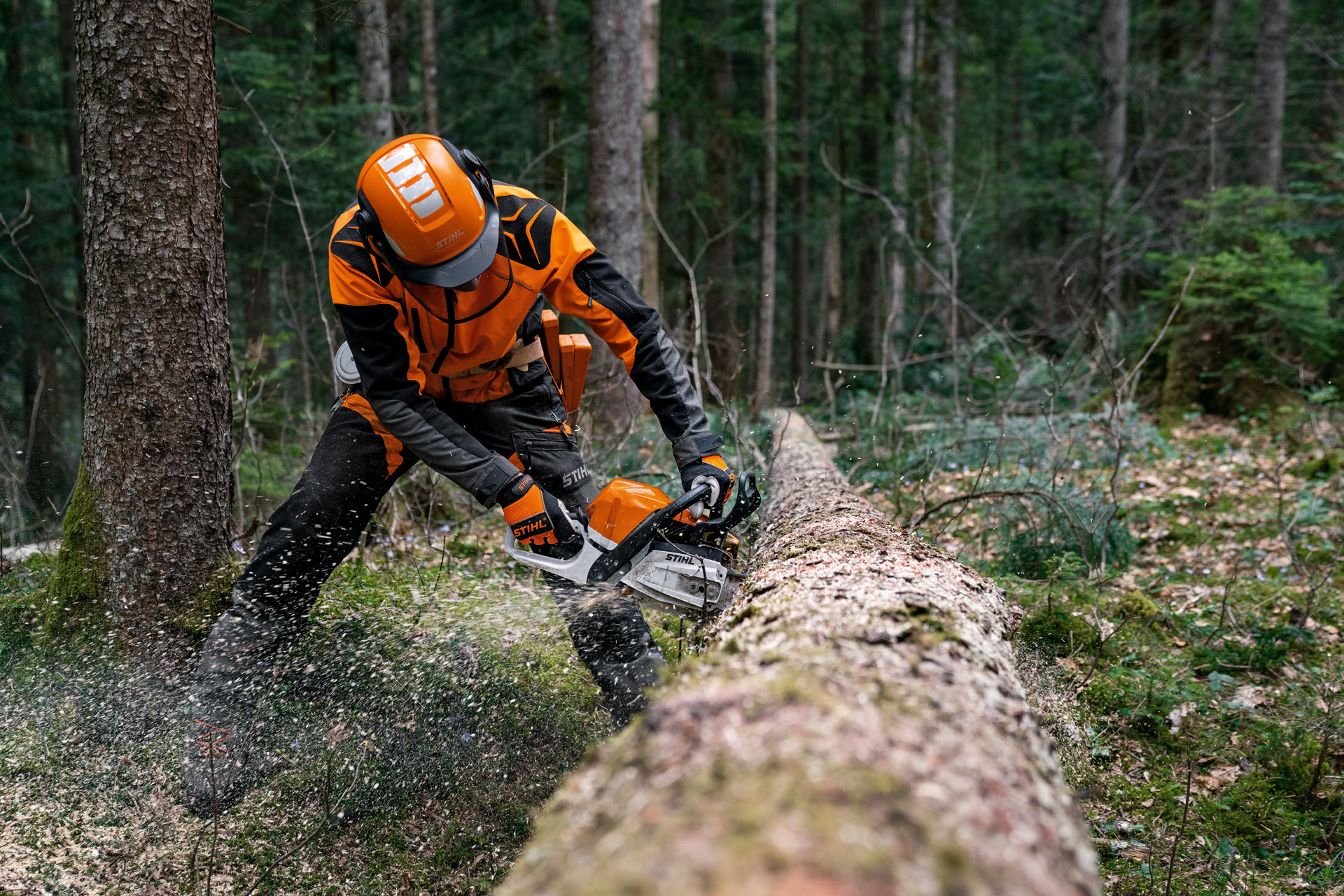 Mann in Schutzausrüstung sägt gefällten Baumstamm mit einer STIHL Benzin-Motorsäge MS 400 C-M mit Magnesiumkolben