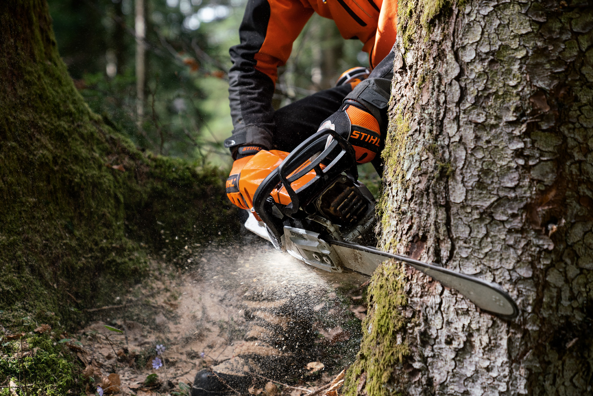 Baum wird von Person in Schutzausrüstung mit einer STIHL Benzin-Motorsäge MS 400 C-M mit Magnesiumkolben gesägt.