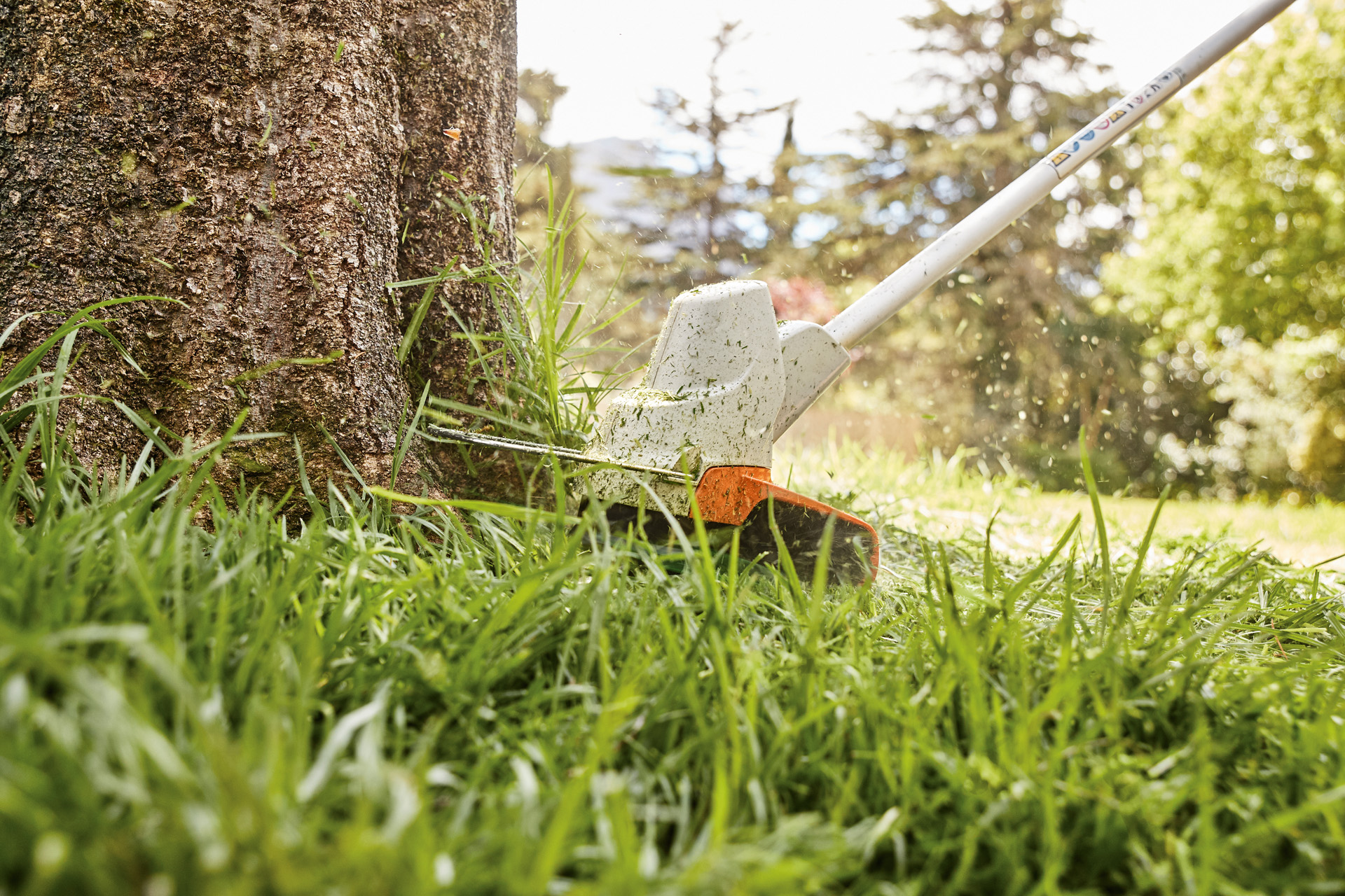 Rasenkanten um einen Baum schneiden mit dem STIHL Akku-Freischneider FS 57