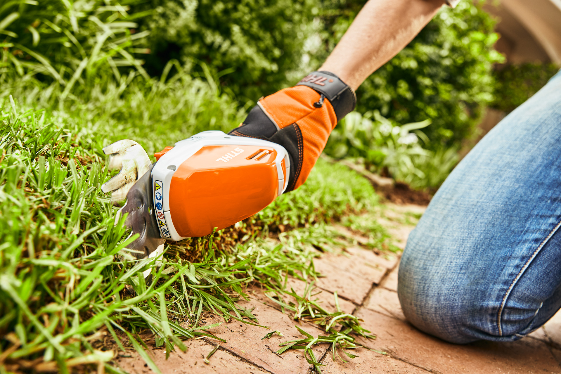 Rasenkanten mit der STIHL Akku-Strauchschere HSA 26 schneiden