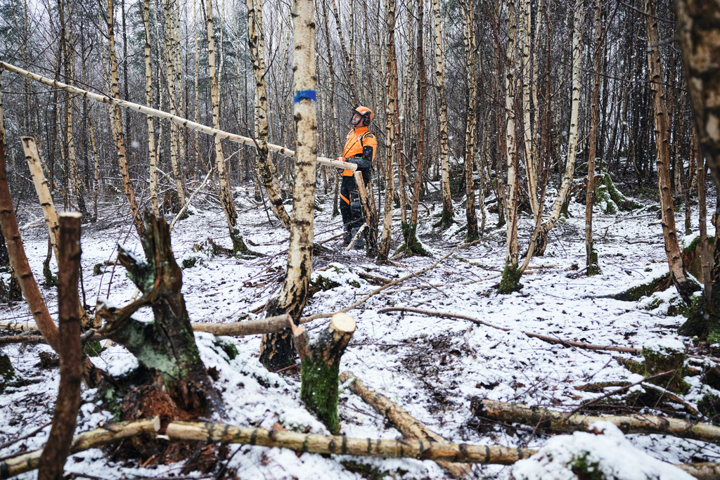 Ein Mann arbeitet in Arbeitsschutzausrüstung in einem verschneiten Wald, im Vordergrund lehnt ein Akku-Hochentaster STIHL HTA 150 an einem Baumstamm
