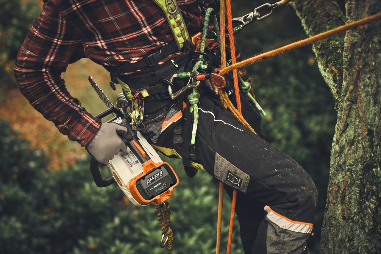 Nahaufnahme eines Mannes, der mit einem ALLPRO-Akku in einer STIHL-Akku-Kettensäge MSA 190 T auf einen Baum klettert