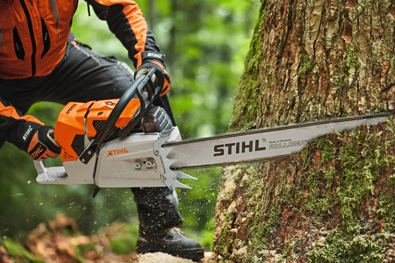 Jemand sägt mit einer Benzin-Kettensäge STIHL MS 881 mit Kopfschiene einen Baum