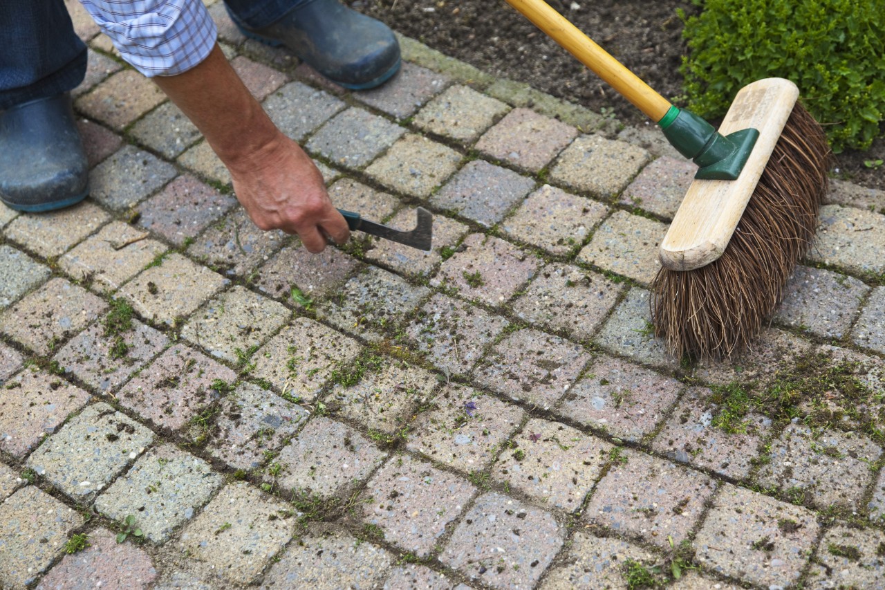 Betonpflaster reinigen