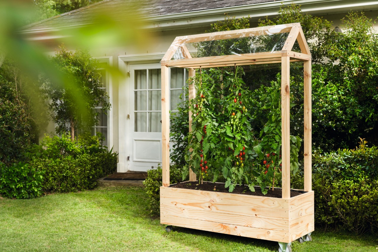 Garten gestalten