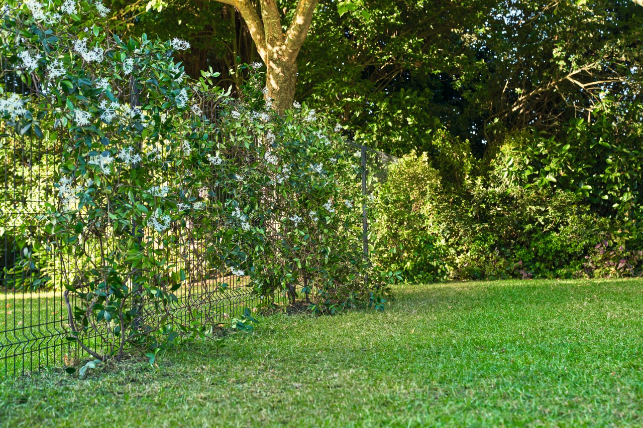 Garten gestalten