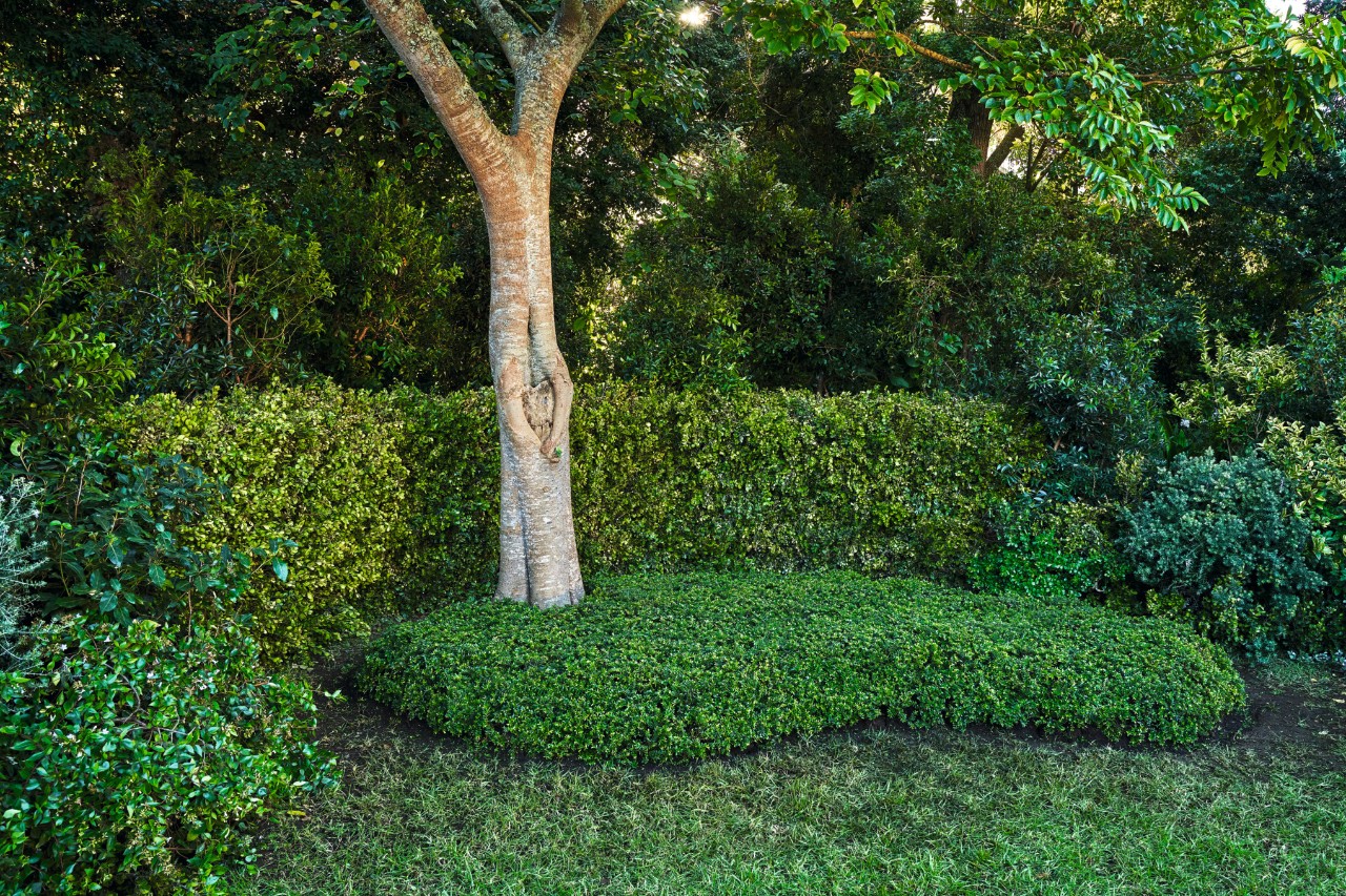 Garten gestalten