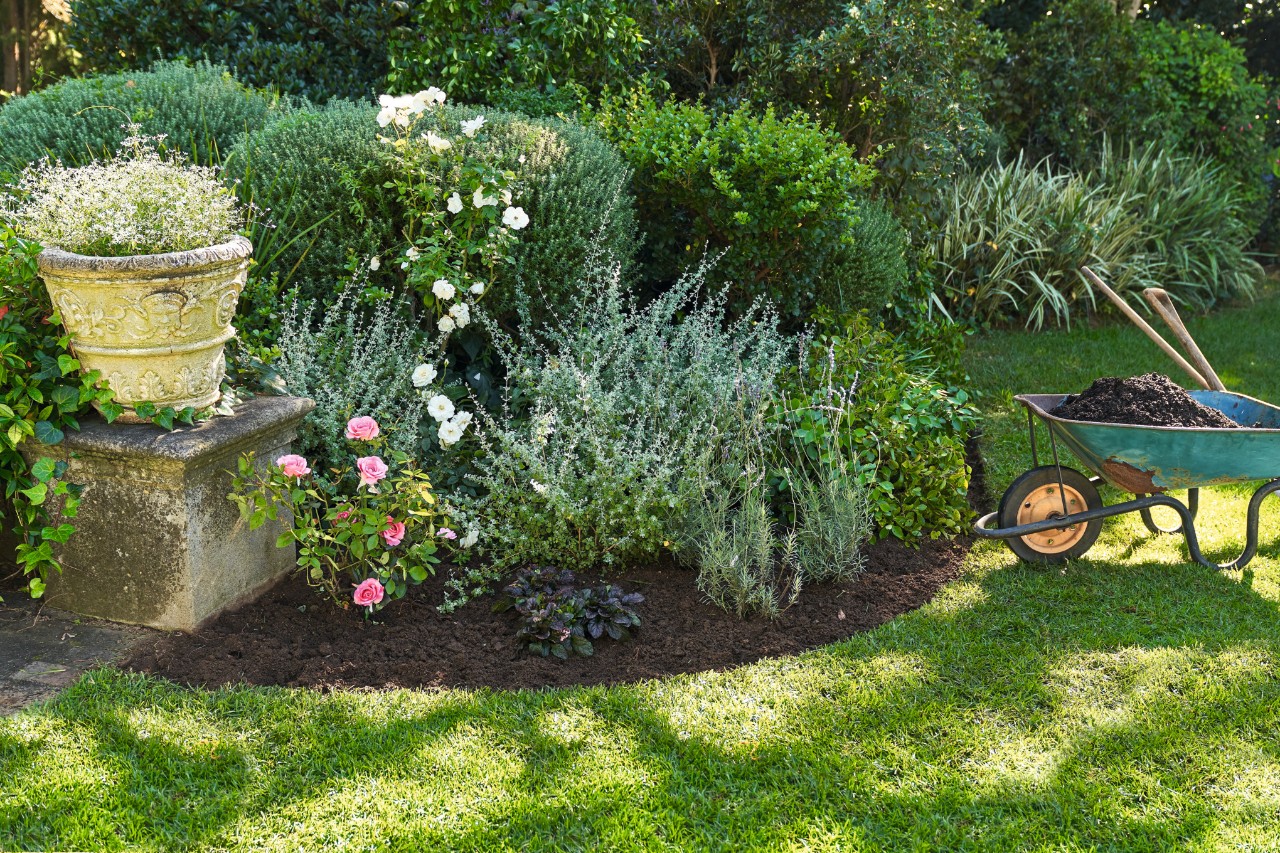 Garten gestalten