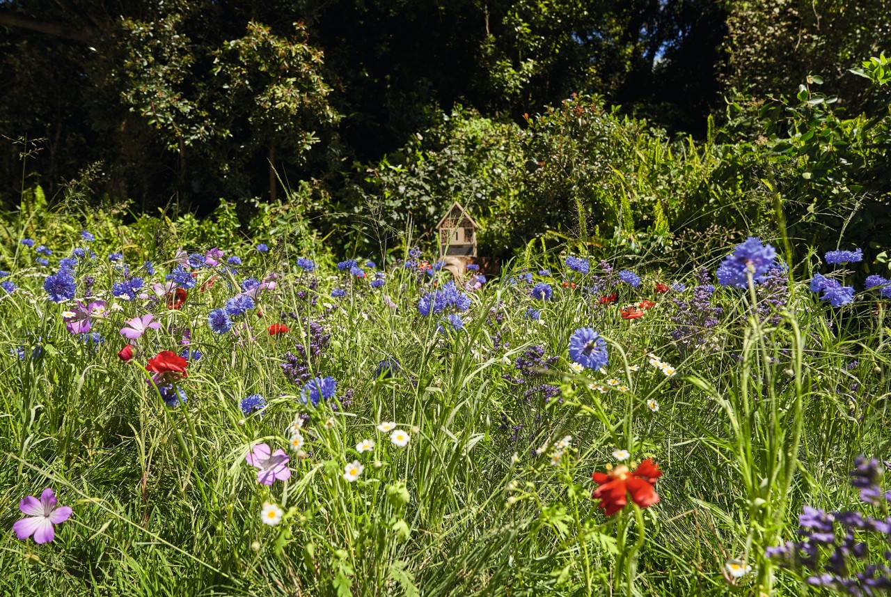 Garten gestalten
