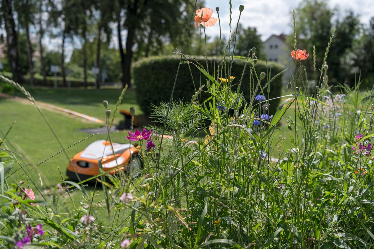 Garten gestalten