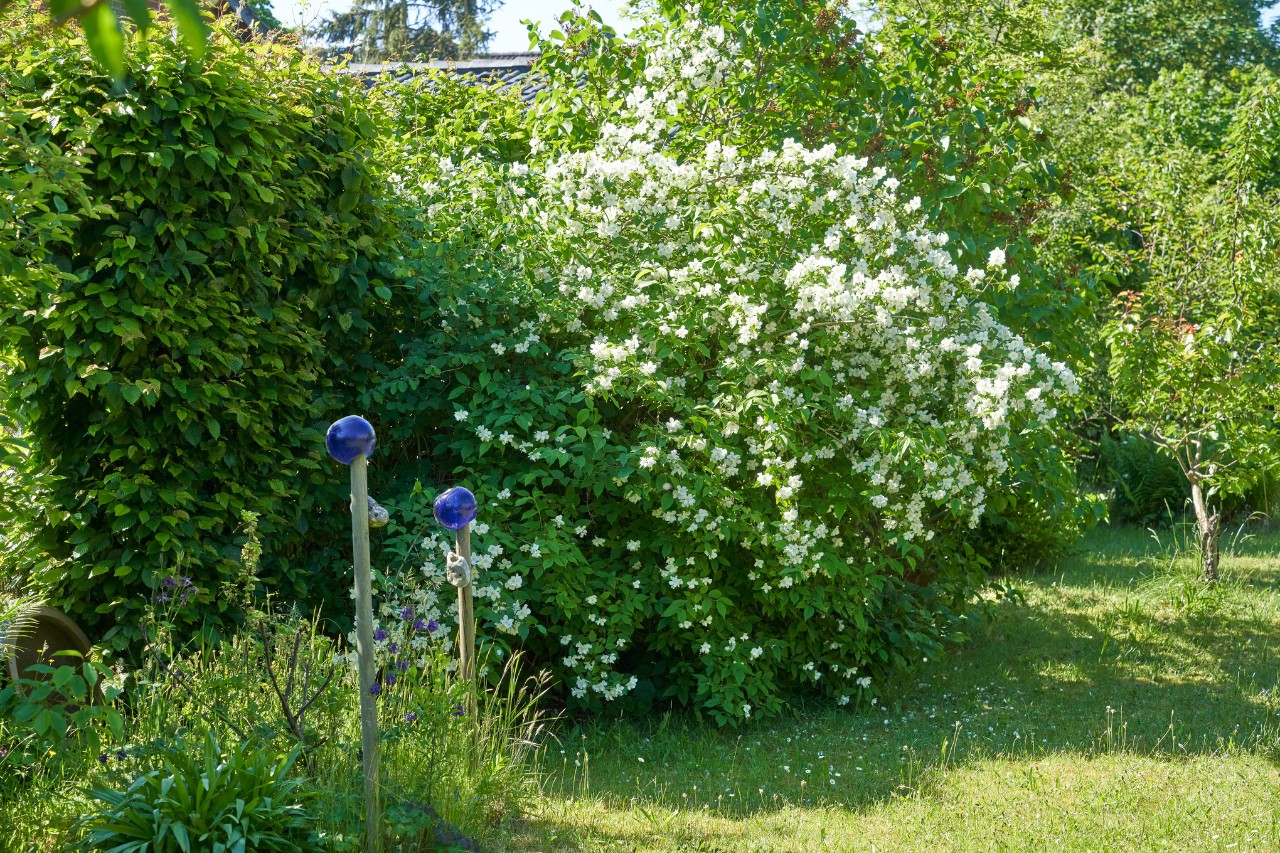 Garten gestalten
