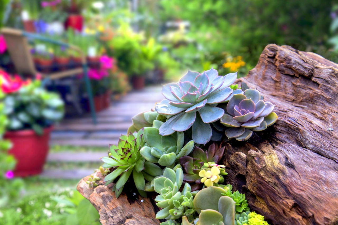 Garten gestalten